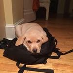 Bryant Hall - @bryant.hall88 - Instagram