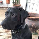 Bryant Harrell - @bryantharrell_ - Instagram