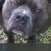Bryant Johnston - Facebook