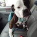 Bryant Johnston - Facebook