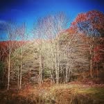 Bryant Shaffer - @24_shaffer_bryant - Instagram