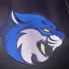 Bobcat Esports - @bryantstrattonwisconsin - TikTok