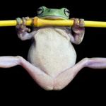 Bryant Sullivan - @producer_frog - Instagram