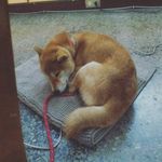 Bryant Tang 30 - @bryanttang30 - Instagram
