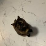 Bryant Tran - @on_blue_86 - Instagram