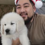 Bryant Vo - @kawaii.in.the.works - Instagram