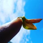 Bryant Wade - @bwadephotos - Instagram