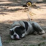 Bryant Wallace - @bryantwallace49 - Instagram