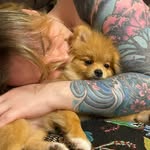 Bryant Warren - @sdskiyora - Instagram