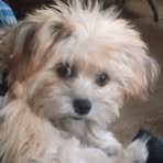 Bryant Watson - Facebook