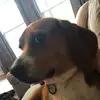 Bryce Allen - @xdbigpeepee69 - TikTok