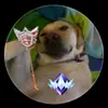 Bryce Benedict18 - @user8212577454281 - TikTok