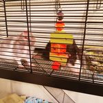bryce Bergman - @bergman2676 - Instagram