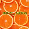 Bryce bishop - @bryce_audios - TikTok