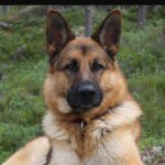 Bryce Burgess🇺🇸🇺🇸🇺🇸🇺🇸 - @georgiabulldog03 - Instagram