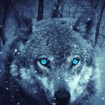 bryce michael William burgess - @bryceburgess123 - Instagram