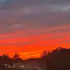 Bryce Carter - @bryce.carter10 - TikTok