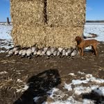 Bryce Carter - @bryce_carter18 - Instagram