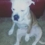 Bryce carver - @brycecarver007 - Instagram
