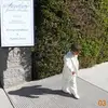 Bryce - @bryce.davis_ - TikTok