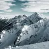 Bryce Davis - @bryce.davis35 - TikTok