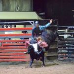 Bryce Dooley - @bryce.dooley.12 - Instagram