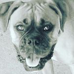 Bryce Duncan - @longa0304 - Instagram