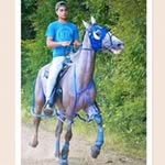 Bryce Evans - @bryceevans6398 - Instagram