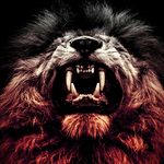 bryce everett - @bryceeverett3 - Instagram