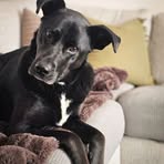 Bryce Fowler - Facebook