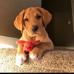 Bryce Fowler - @11gct11 - Instagram