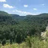 Bryce Fox - @brycefox48 - TikTok