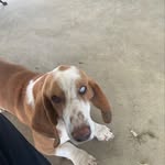 Bryce Gaddy - @bryce_gaddy598 - Instagram