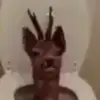 user7786993459024 - @bryce.garcia.11 - TikTok