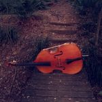 Bryce Gardner - @based_bass_player - Instagram