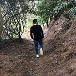 Bryce Gibson Music - @brycegibsonmusic - Instagram
