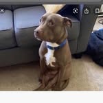 bryce goodwine - @brycegoodwine - Instagram