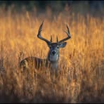 Bryce Graves - Facebook
