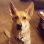 bryce hawes - @hawes_bryce - Instagram
