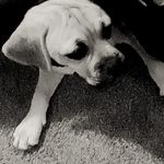 Bryce Chester - @brycechester - Instagram