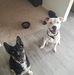 Bryce Hester - Facebook