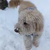 Bryce - @bryce.higgins3 - TikTok