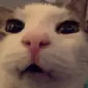 Bryce Howard - @bryce69howard - TikTok