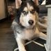 Bryce Hubbard - Facebook