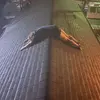bryce - @bryce.kelley - TikTok