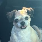 Bryce Kline - @crazy_artsy_choirkid - Instagram