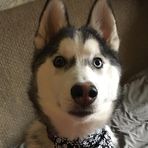 Bryce Lindeman - Facebook