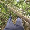 Bryce Martinez - @bryce.martinez5 - TikTok