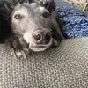 brycemcelroy92 - @brycemcelroy92 - TikTok