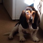 Bryce Austin Mckeehan - @brycemckeehan - Instagram